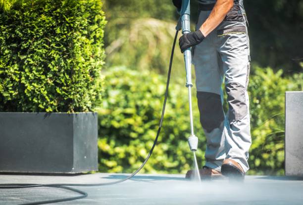 Best Roof Washing  in Salamanca, NY